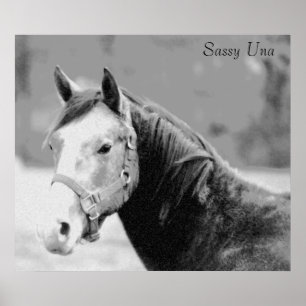 Impresión Sassy Una