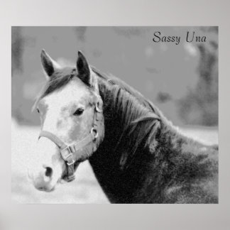 Impresión Sassy Una