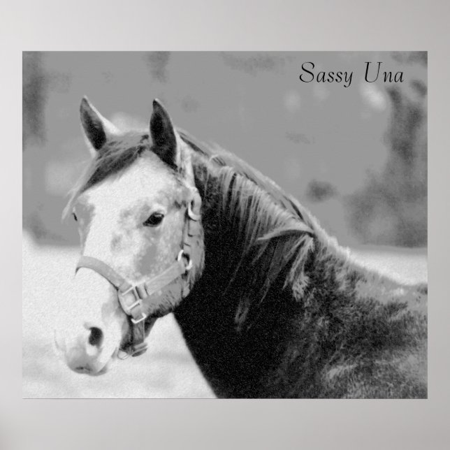 Impresión Sassy Una (Frente)