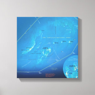 Impresión seca de la lona del mapa de Tortugas