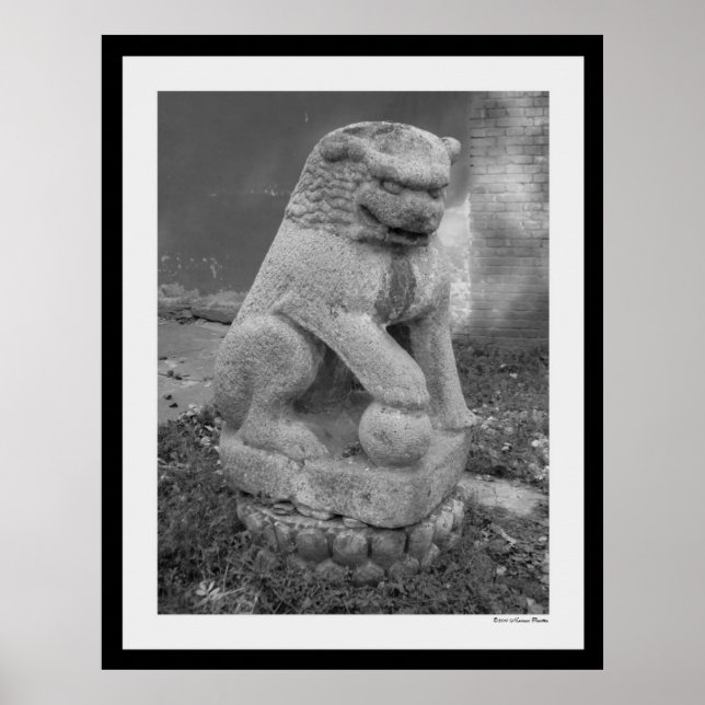 Impresión Shi Zi (Frente)