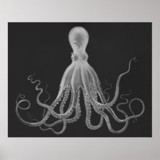 Impresión sobredimensionada de pulpo en gris
