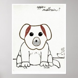 Impresión superior de Midbrain