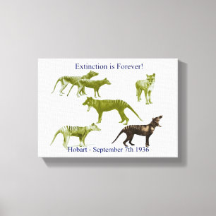 Impresión tasmana de la lona del Thylacine del