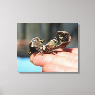 Impresión única de fotos de los amantes de los ins