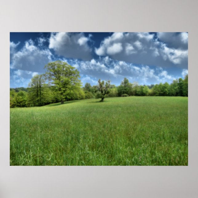 Impresión verde appalache (Frente)