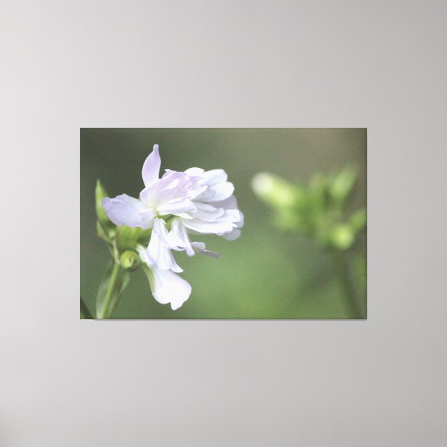 Impresión verde oliva (Anverso)