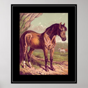 Impresión vintage de caballo del siglo XIX