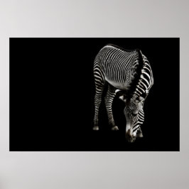 Impresión Zebra P4435