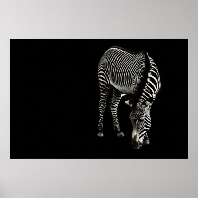 Impresión Zebra P4435 (Frente)