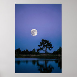 Impresionante Arte de Pared de Cielo Nocturno Luna