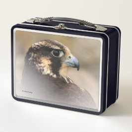 Impresionante perfil visto de un Halcón Peregrino