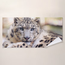 Impresionante retrato de leopardo de las nieves