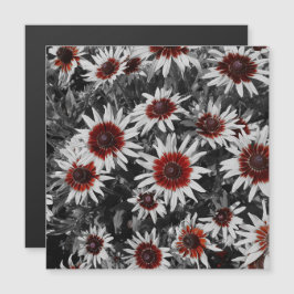 Impresionante tarjeta magnética de Susans de ojos