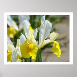 Impresiones artísticas de flores de Iris Jardín de
