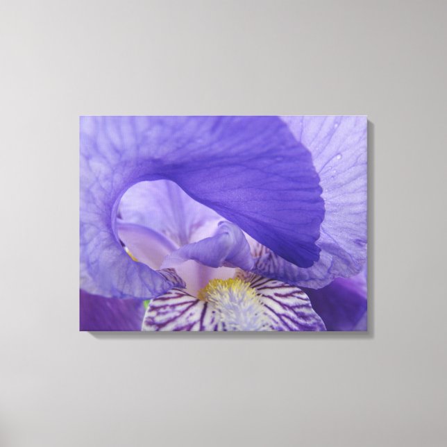 Impresiones artísticas de flores de lirios canvas  (Anverso)