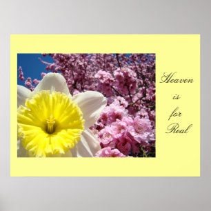 Impresiones artísticas de Heaven is for Real Flore