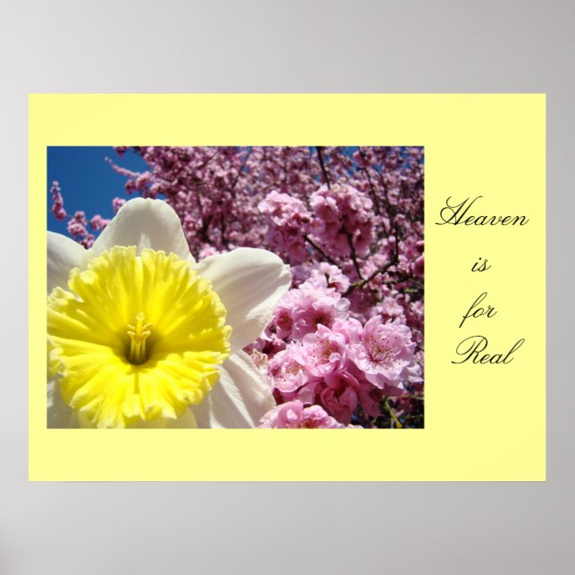 Impresiones artísticas de Heaven is for Real Flore (Frente)