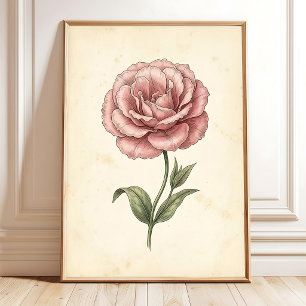 Impresiones de Arte Botánico de Lisianthus en Pare