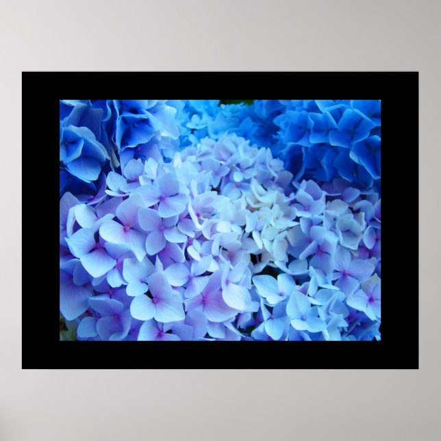 Impresiones de arte de BLUE Hydrangea Garden Flowe (Frente)