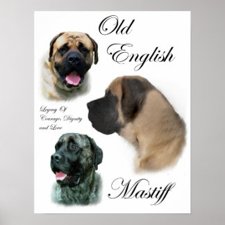 Impresiones de arte de castigos ingleses