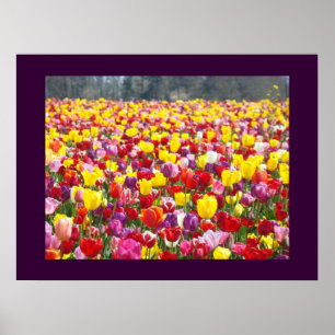 Impresiones de arte de festival de jardín de flore