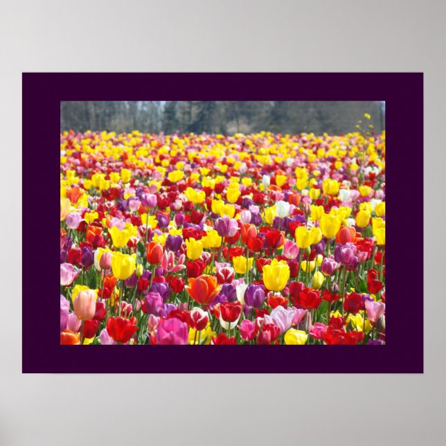 Impresiones de arte de festival de jardín de flore (Frente)