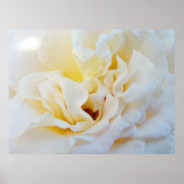 Impresiones de arte de flores de Rosa Blanca Jardí