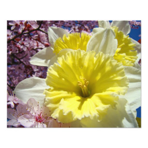 Impresiones de arte de fotografía de flores de nar