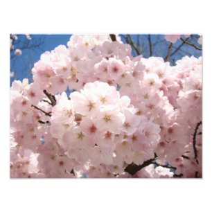 Impresiones de Arte de Fotografía Flores de árbol 