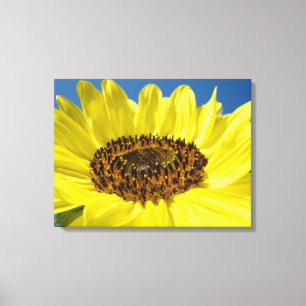 Impresiones de arte de girasoles coloridos de colo