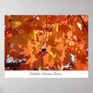 Impresiones de arte de hojas de otoño coloridas Ár