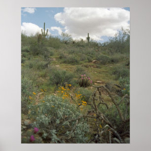 Impresiones de arte de la primavera sinfónica del