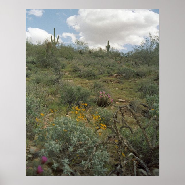 Impresiones de arte de la primavera sinfónica del  (Frente)