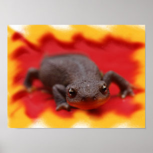Impresiones de Arte de Newts que Amo