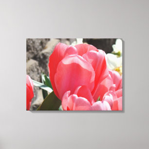 Impresiones de Arte de Primavera en Lienzo Tulipan