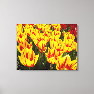 Impresiones de arte decorativo Flores de Tulipán A