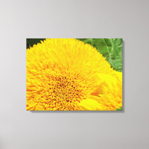 Impresiones de arte en lienzo de girasoles paneles