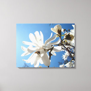 Impresiones de Arte en Lienzo Floral de Magnolia B