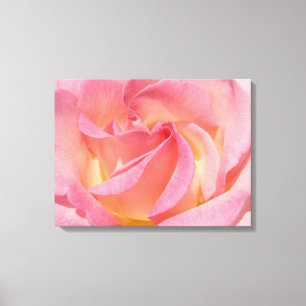 Impresiones de Arte en Lienzo Floral Espiral de Ro