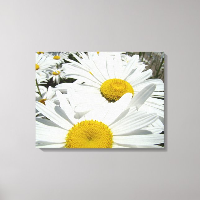 Impresiones de arte en lienzo floral Flores de mar (Anverso)