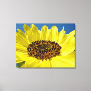 Impresiones de arte en lienzo Girasol Amarillo Cie