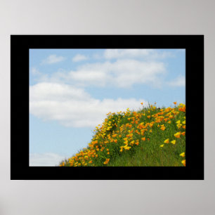 Impresiones de arte fino cielo azul verano amapola