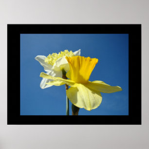 Impresiones de arte fino de primavera Narciso amar