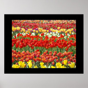 Impresiones de Arte Fino del Festival de Flores de