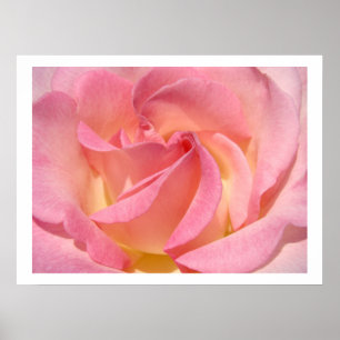 Impresiones de arte floral en espiral de flores ro