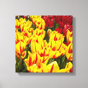 Impresiones de arte floral en lienzo de 12x12 Tuli