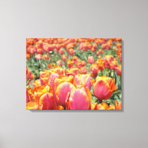 Impresiones de arte floral fino en lienzo de tulip