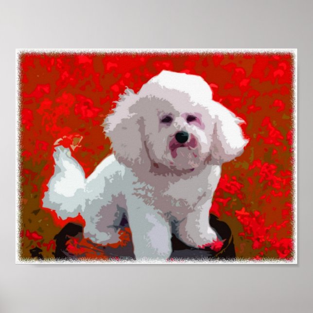 Impresiones de arte pop de Bichon Frise (Frente)