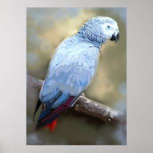 Impresiones de Bellas Artes de loro gris africano
